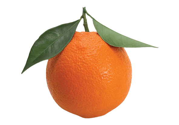 Orange png